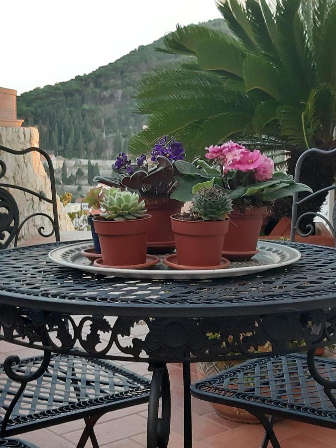 Luxury Sea View Apartments Dubrovnik Eksteriør bilde